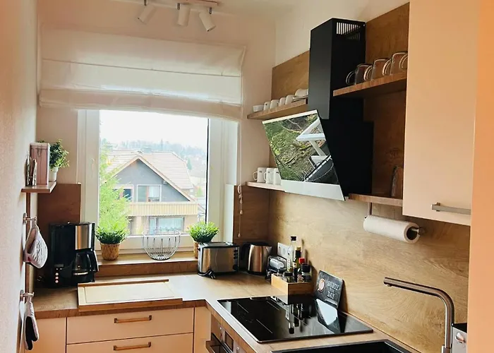 Апартаменты Gipfelblick Mit Fantastischem Wurmbergblick Inkl Endreinigung *